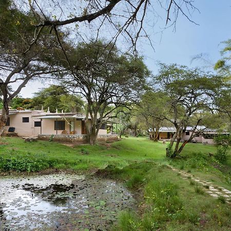 Jungle Hut Hotel Masinagudi Kültér fotó